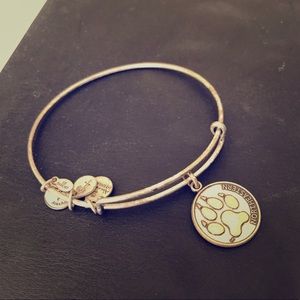 Alex and Ani Northeastern Bracelet